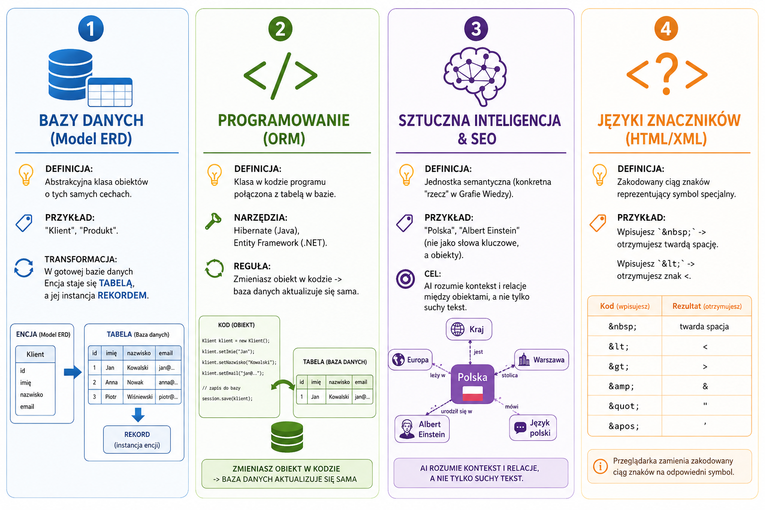 Infografika składa się z czterech kolumn: 1) Bazy danych (Model ERD), 2) Programowanie (ORM), 3) Sztuczna inteligencja & SEO, 4) Języki znaczników (HTML/XML).